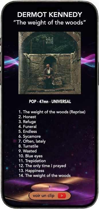 Dermot Kennedy album the weight of the woods