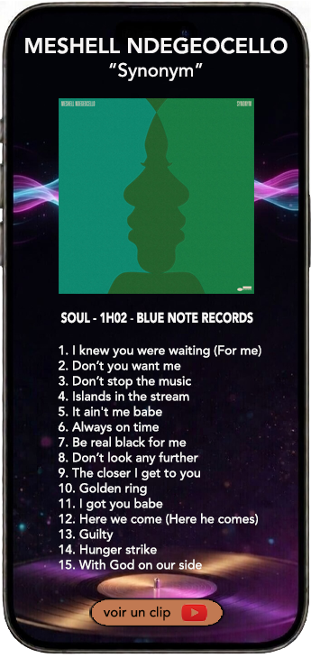 Meshell Ndegeocello album soul Synonym